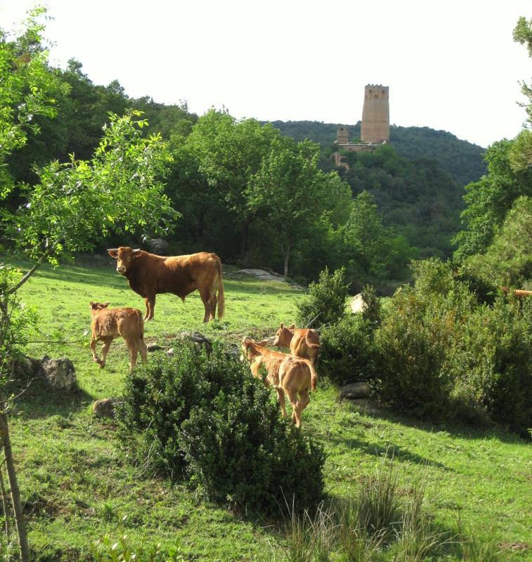 Hotel Rural Jaumet Tora de Riubregos المظهر الخارجي الصورة